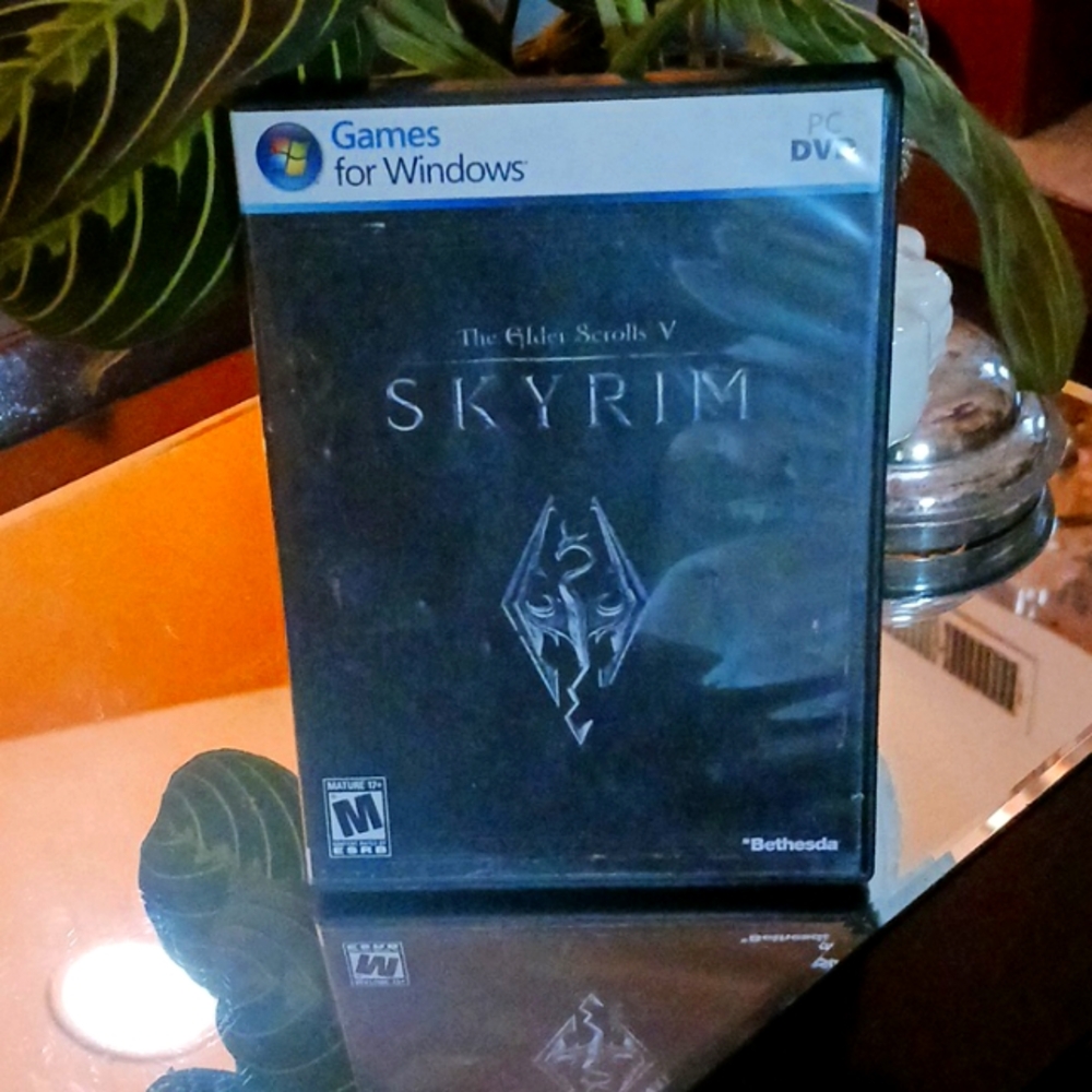 Skyrim for a window's computer